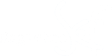Logo reg sef