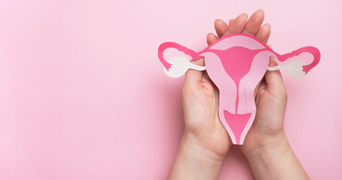 Hormonas como la progesterona o el estradiol son clave para la salud reproductiva.